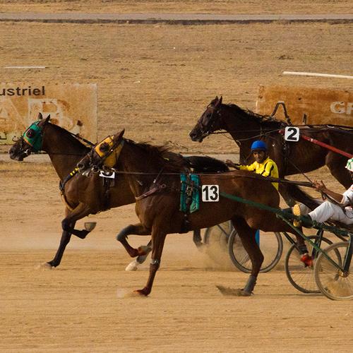 horse racing