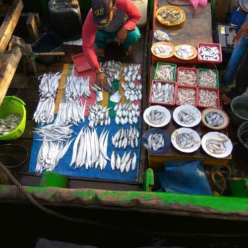 Selling Fish