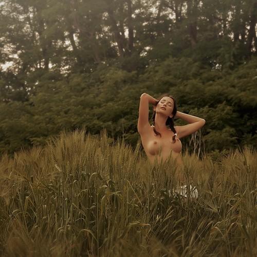 Photo #2529955