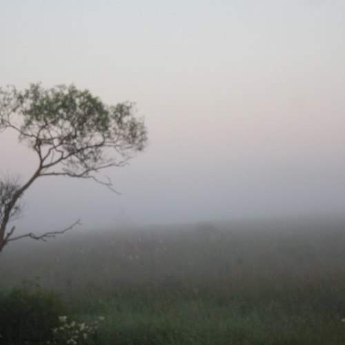 Photo #2530436