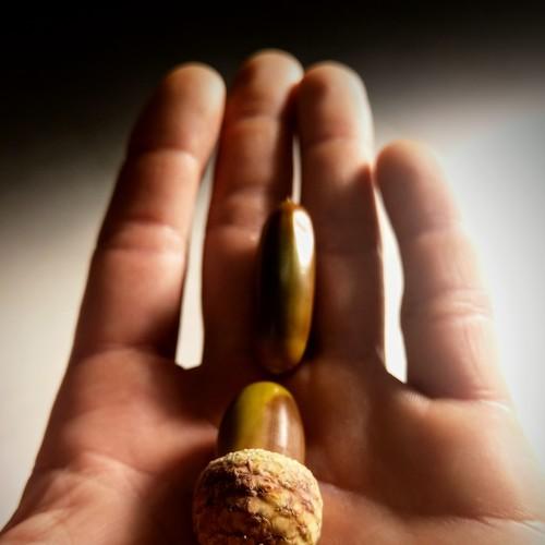 Photo #2531359