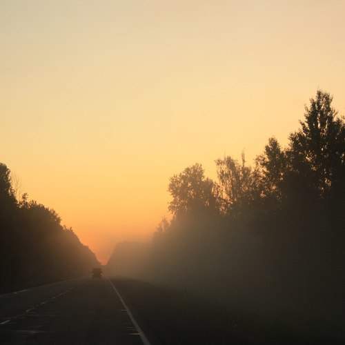 Photo #2531837