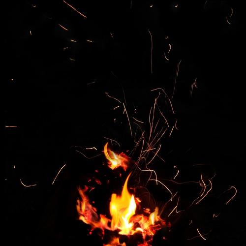 Ayahuasca