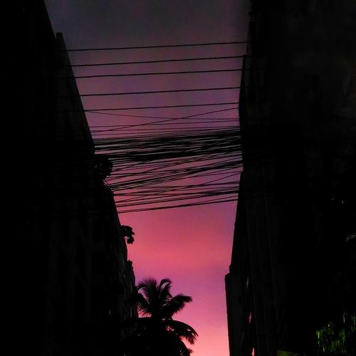 Beauty is everywhere