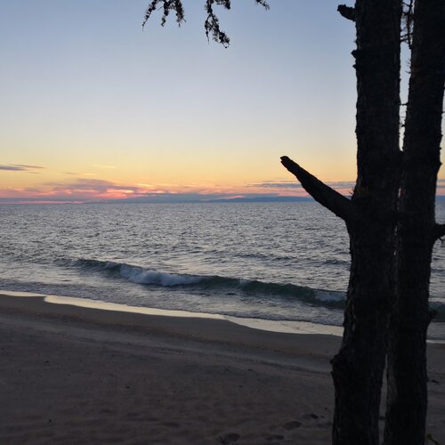 Photo #2533725