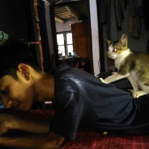 Photo #2533972