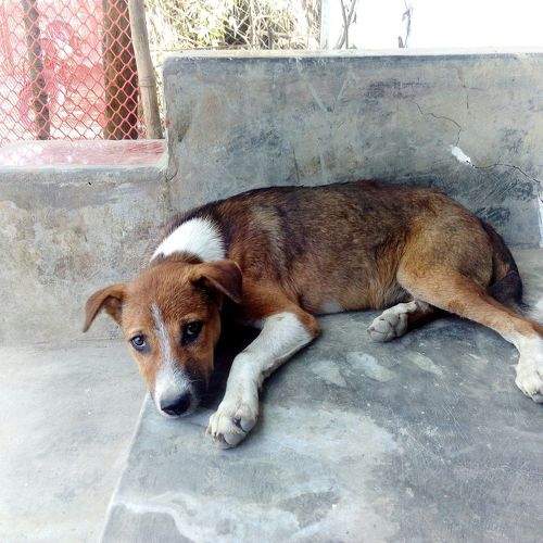 Photo #2533975