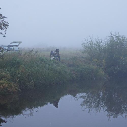 Photo #2534454