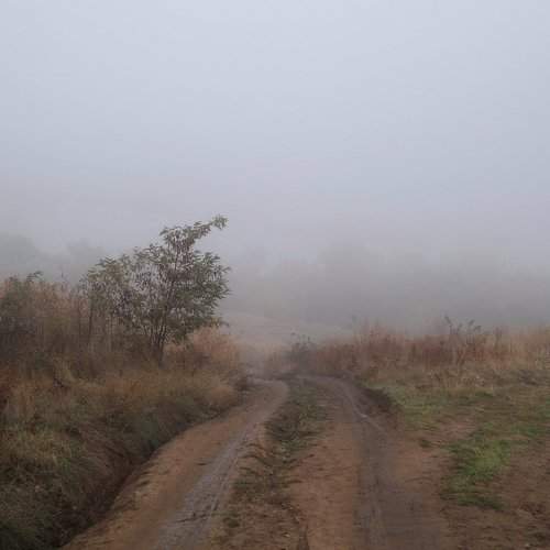 Photo #2534892