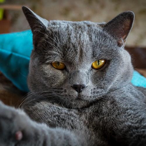 - Ну, что хотел?