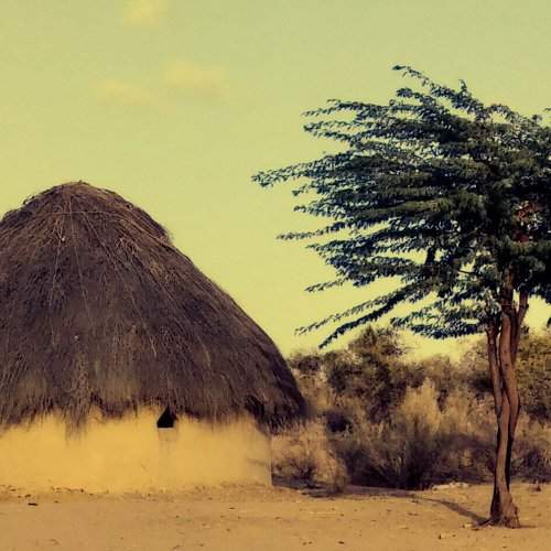 Thar Desert