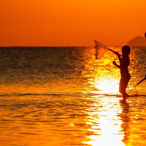 Catch the Sun