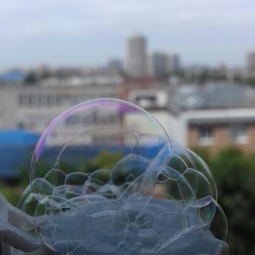 Photo #2536720