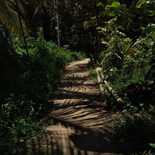 Leading the way on the shadows's path