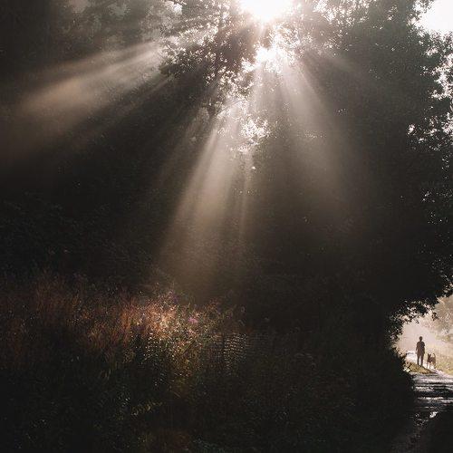 после дождя