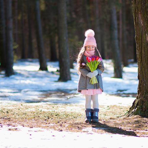 Photo #2539236