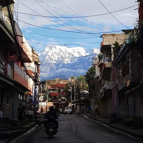 Photo #2539645