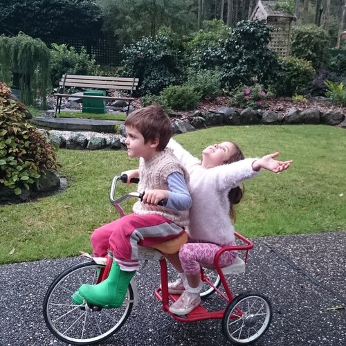 Joy of the garden