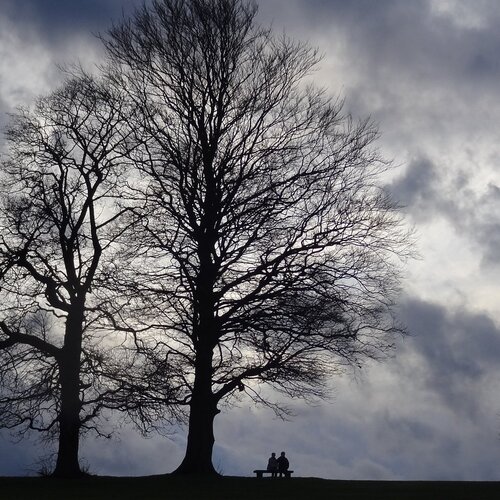 The Silhouette