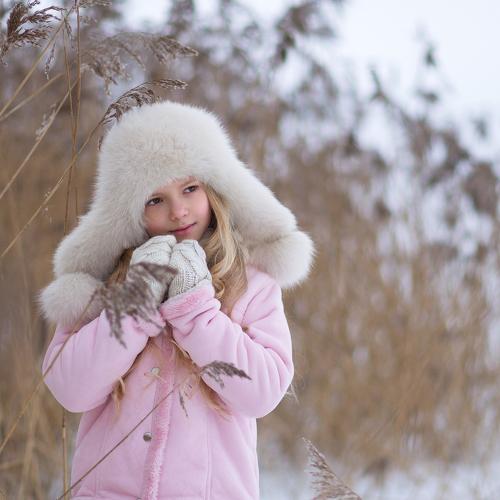 Photo #2540421