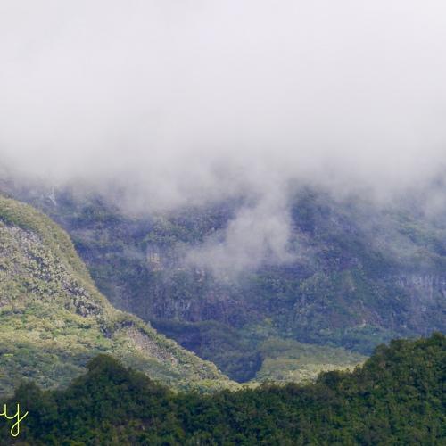Brouillard dans les montagnes
