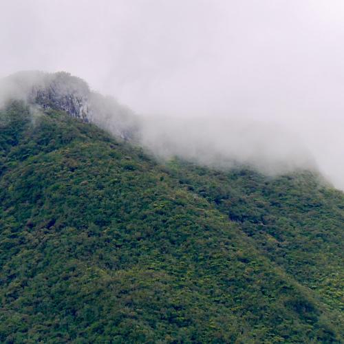 Arrivée du brouillard