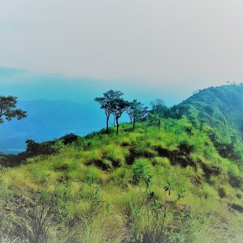 silent in nature