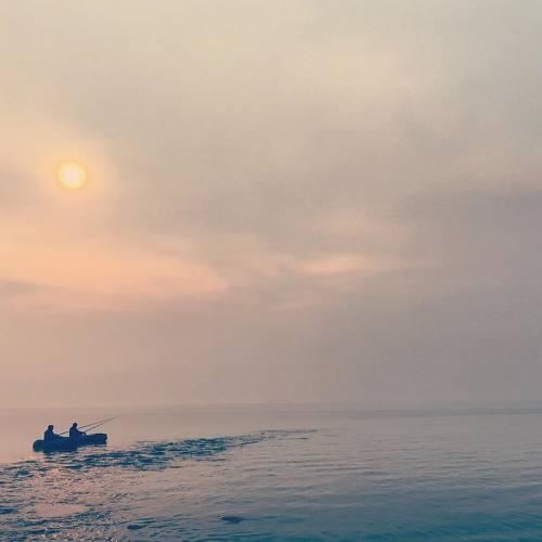 Фотография #2541135