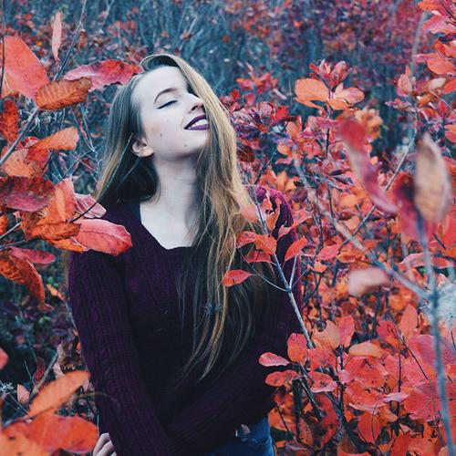 Photo #2542811