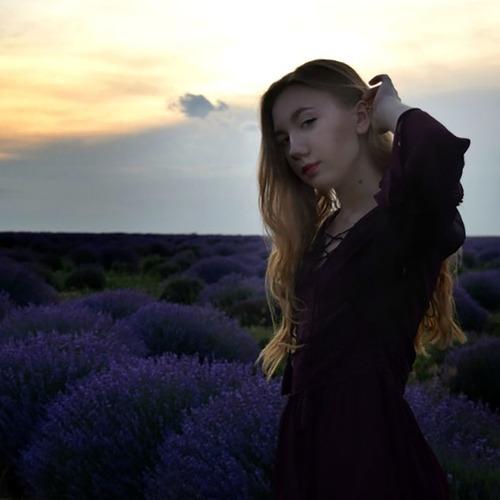 Photo #2542813