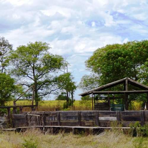 Rancho