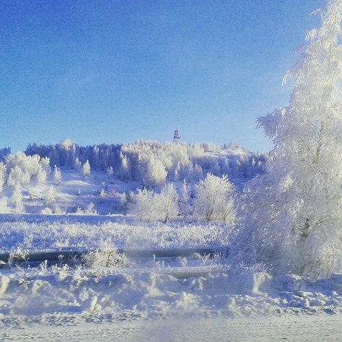 Красивая зима