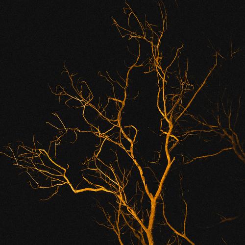 Golden Tree