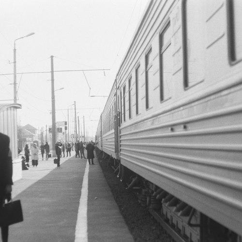 Фотография #2544981