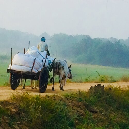 Photo #2545224