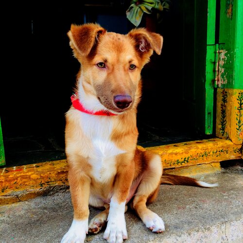 Photo #2545240