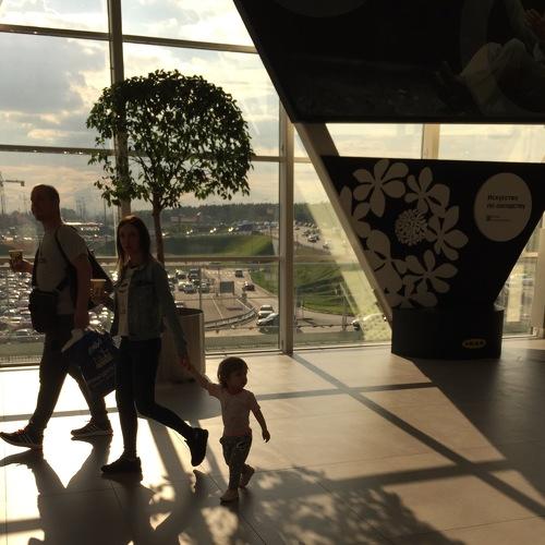 Photo #2546484