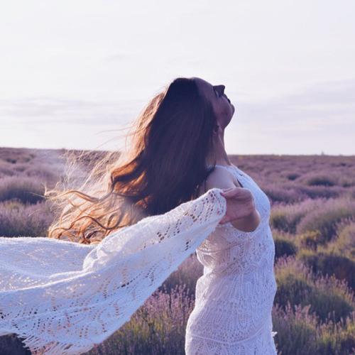 Photo #2548116