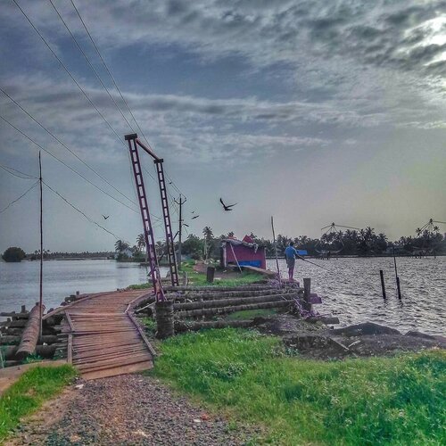 Photo #2549472