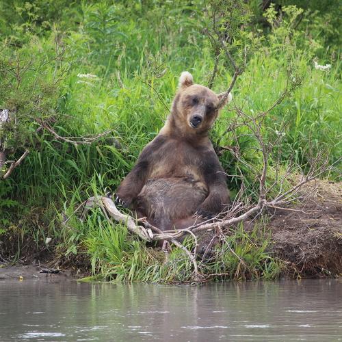 Кажется, я встретил Будду.