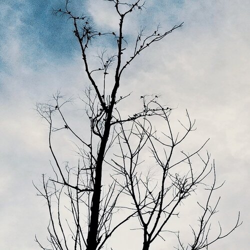 Photo #2550537