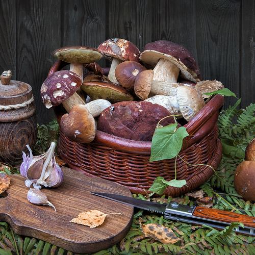 Натюрморт с боровиками