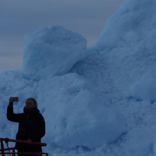 Photo #2551218