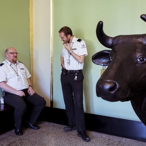 Cow's Bodyguards