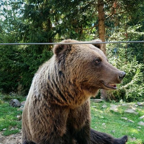 Photo #2552056