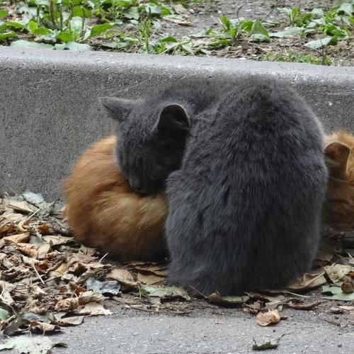 Photo #2553425