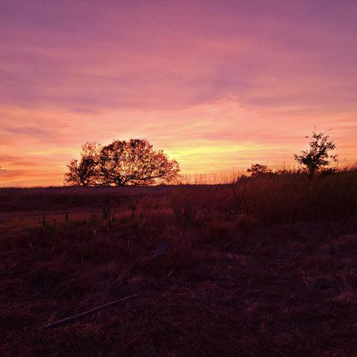 Small Town Country Living