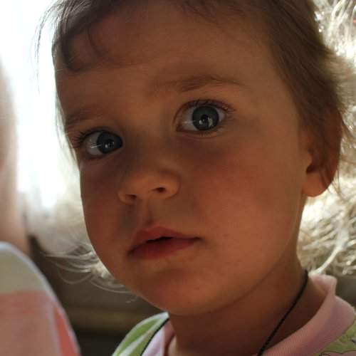 Photo #2553690