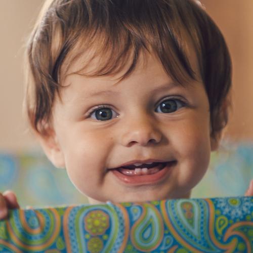 Photo #2553749
