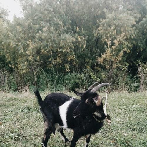 Photo #2554553